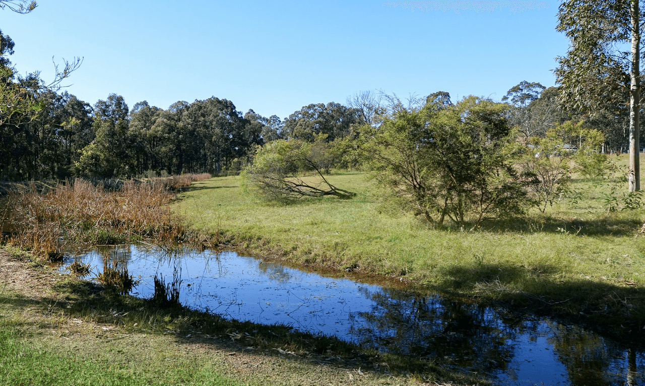 156 Frame Drive, SAWYERS GULLY, NSW 2326