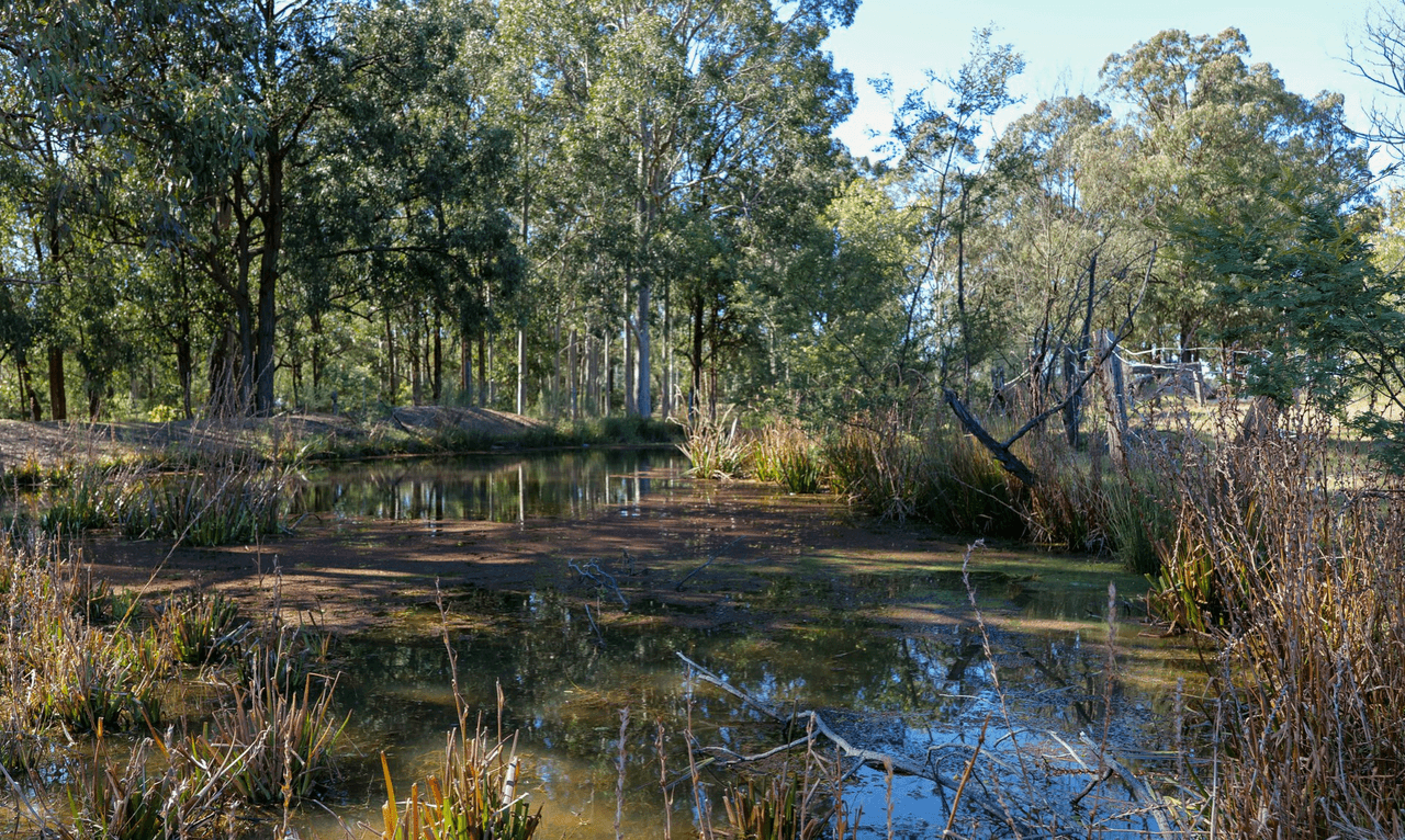 156 Frame Drive, SAWYERS GULLY, NSW 2326