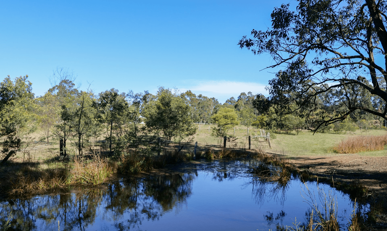 156 Frame Drive, SAWYERS GULLY, NSW 2326