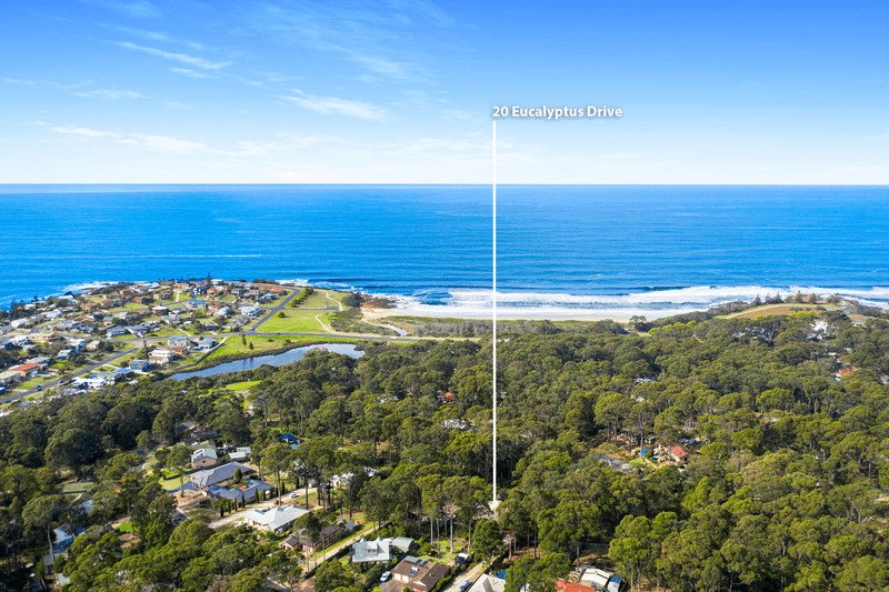 20 Eucalyptus Drive, DALMENY, NSW 2546