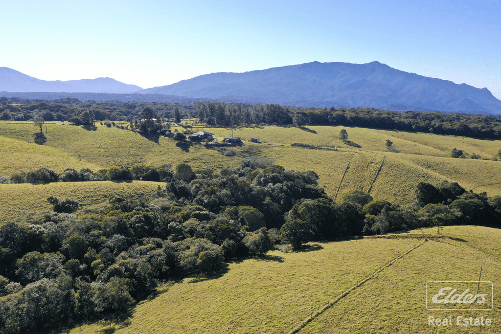 136 Old Boonjie Road, MALANDA, QLD 4885