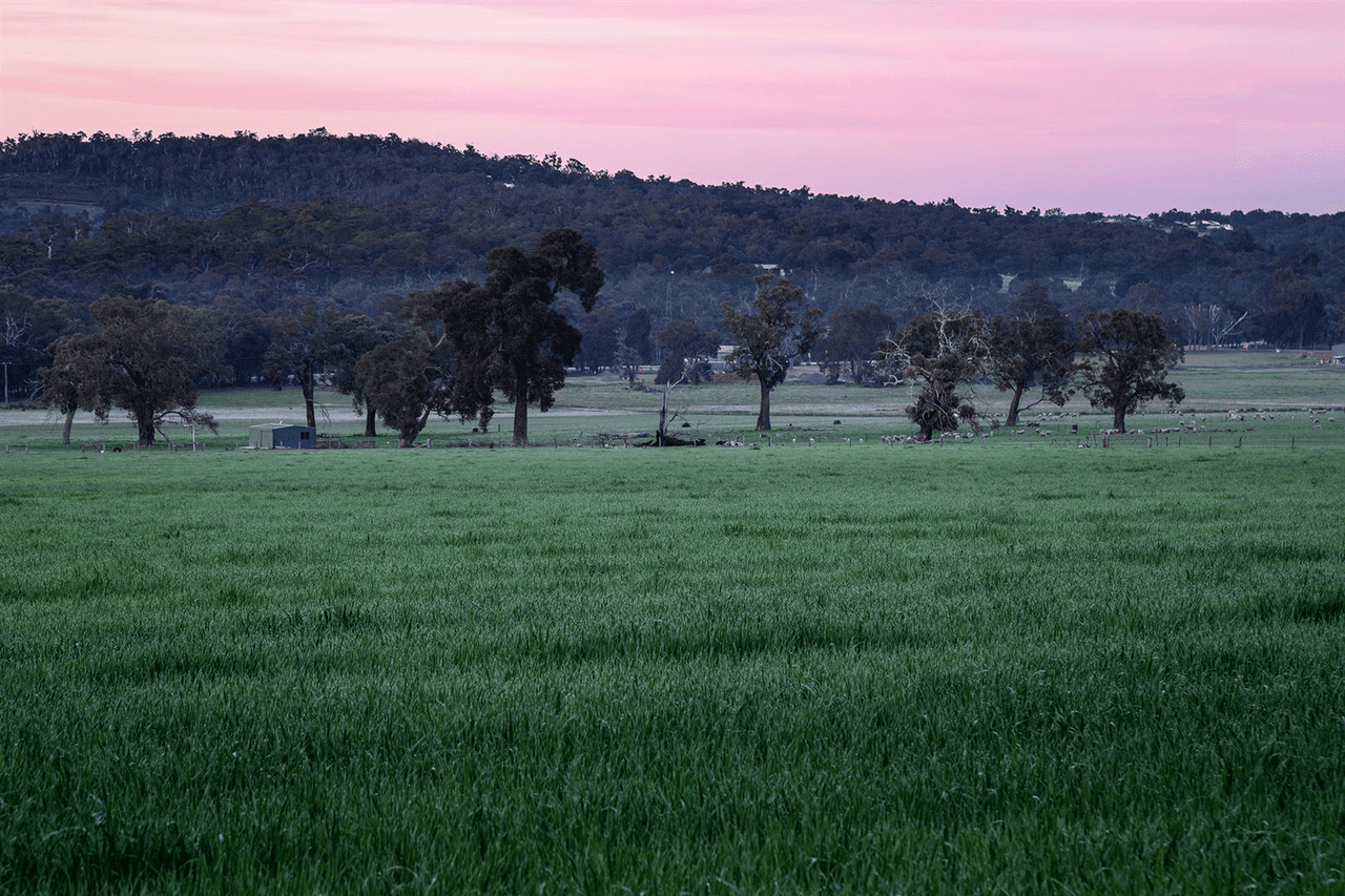 Lot 724 Zebu Road, LOWER CHITTERING, WA 6084