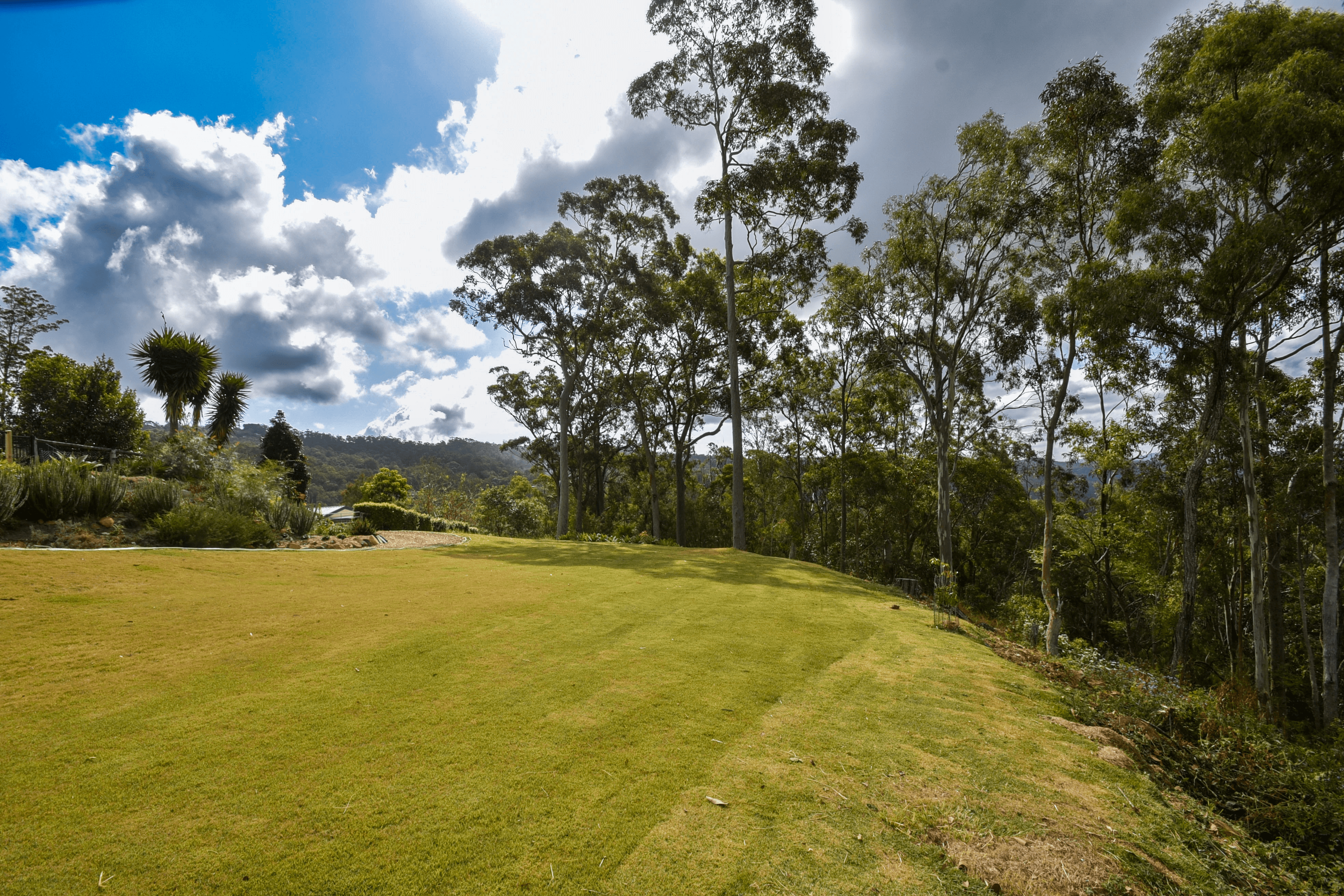 21 Wildflower Court, CLAGIRABA, QLD 4211