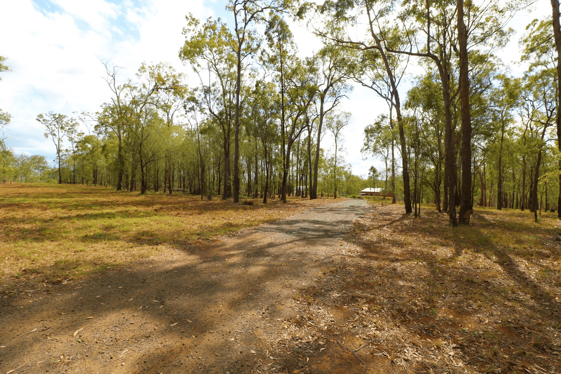 228 Webbs Road, Redridge, QLD 4660