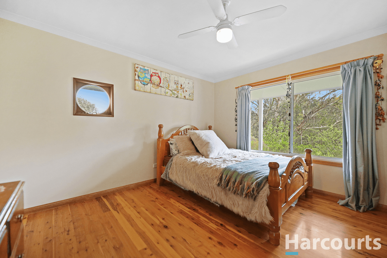 195 Beards Track, SHADY CREEK, VIC 3821