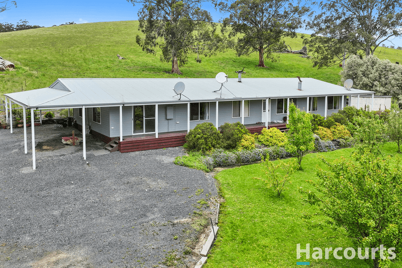 195 Beards Track, SHADY CREEK, VIC 3821