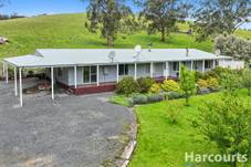 195 Beards Track, SHADY CREEK, VIC 3821