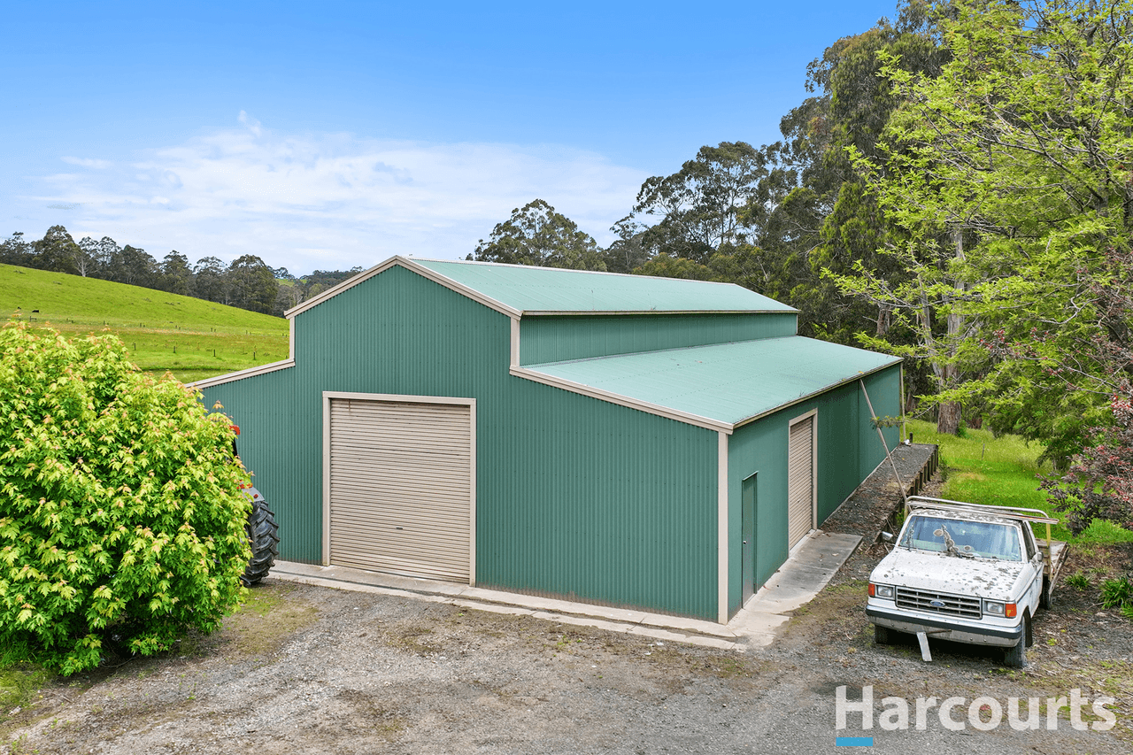 195 Beards Track, SHADY CREEK, VIC 3821