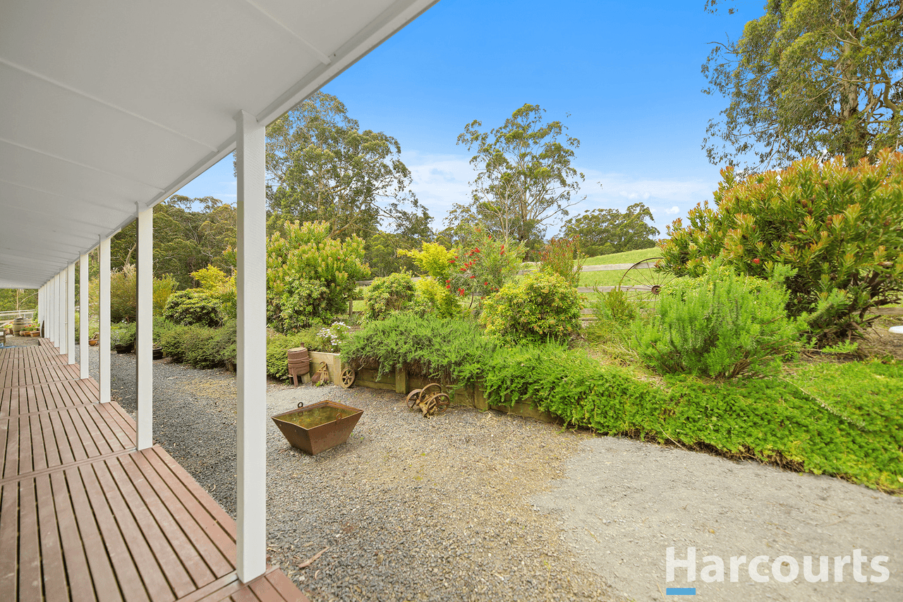 195 Beards Track, SHADY CREEK, VIC 3821