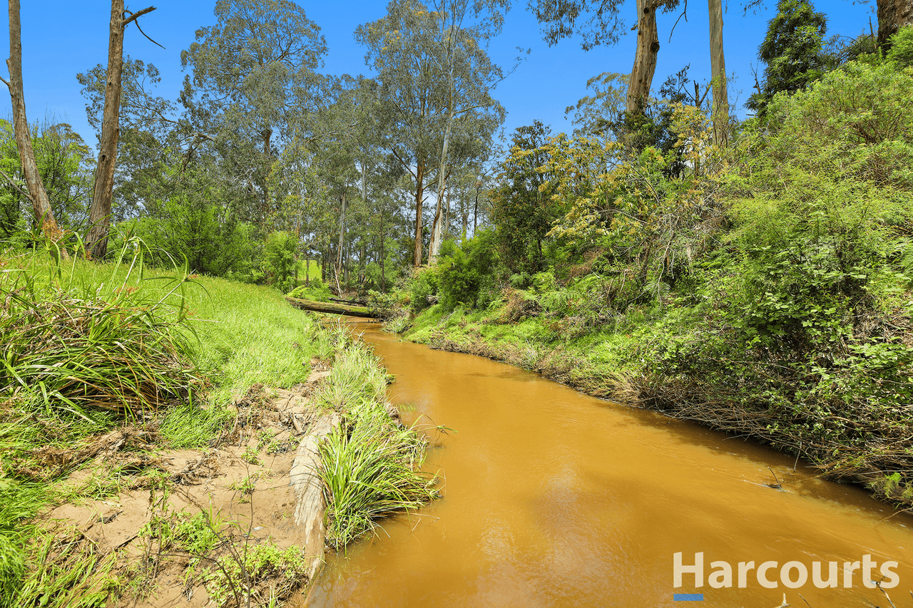 195 Beards Track, SHADY CREEK, VIC 3821