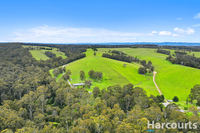 195 Beards Track, SHADY CREEK, VIC 3821