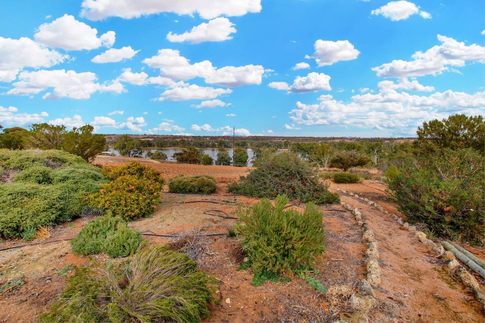1251 Devlins Pound Road, POOGINOOK, SA 5330