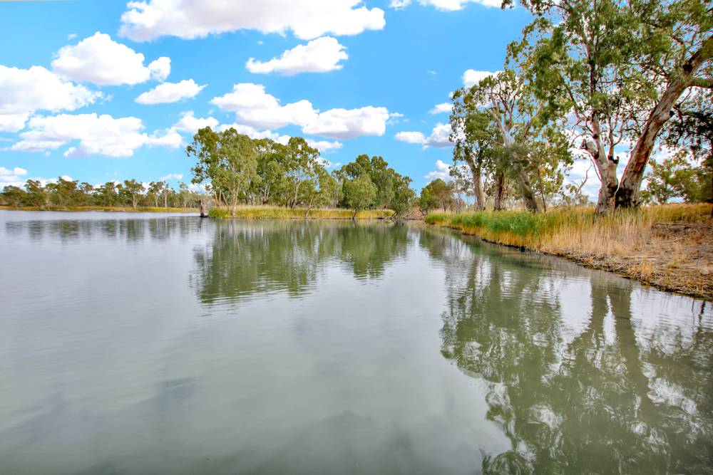 1251 Devlins Pound Road, POOGINOOK, SA 5330