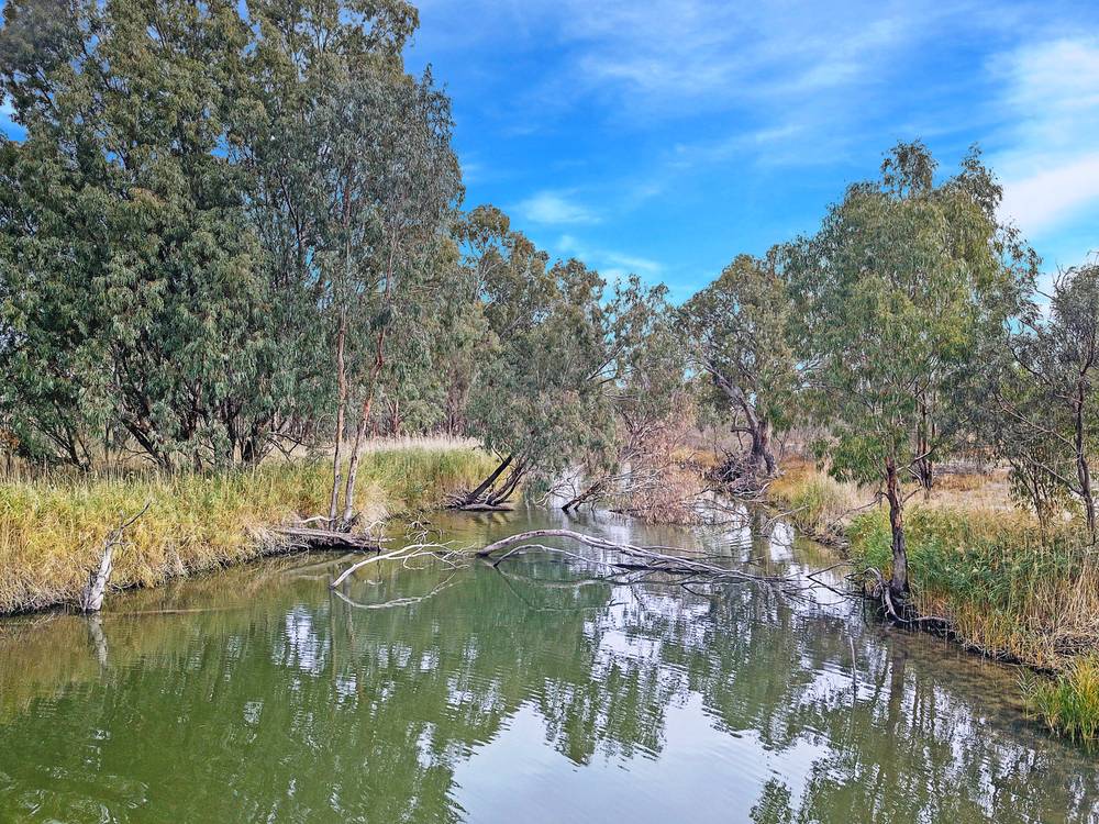1251 Devlins Pound Road, POOGINOOK, SA 5330