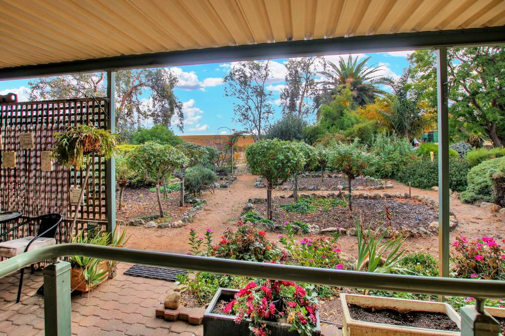 1251 Devlins Pound Road, POOGINOOK, SA 5330