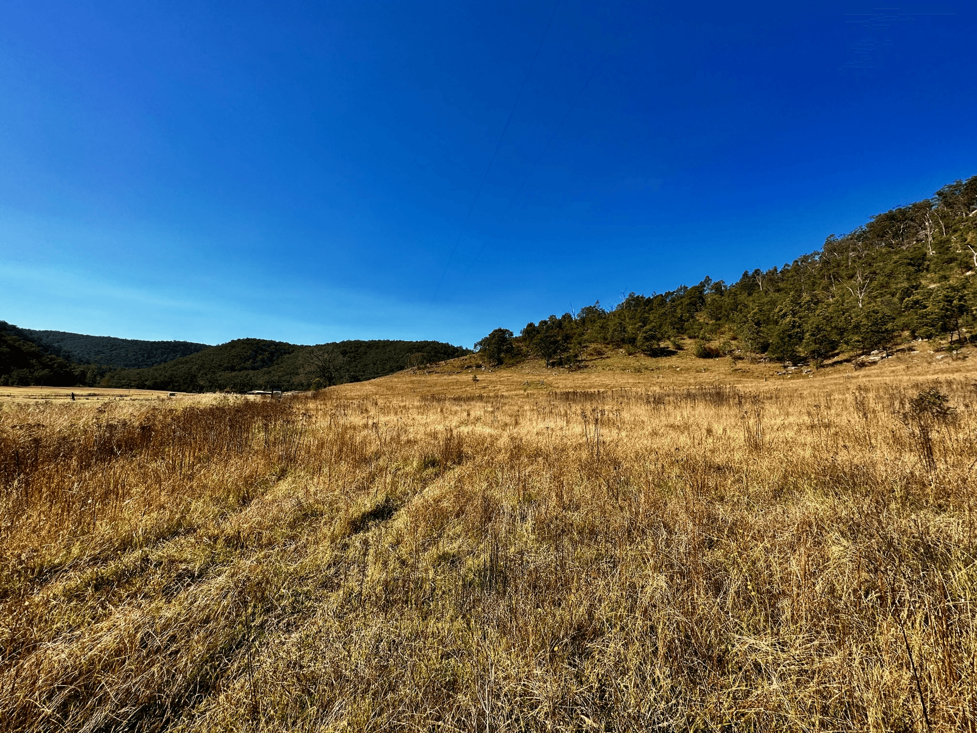Lot 6 Paynes Crossing Rd, Paynes Crossing, NSW 2325