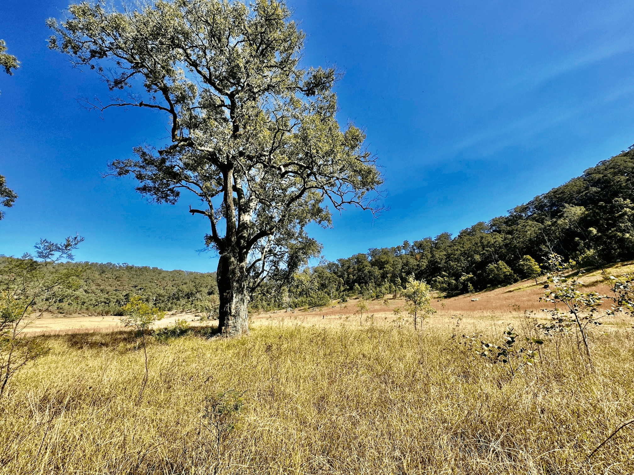 Lot 6 Paynes Crossing Rd, Paynes Crossing, NSW 2325