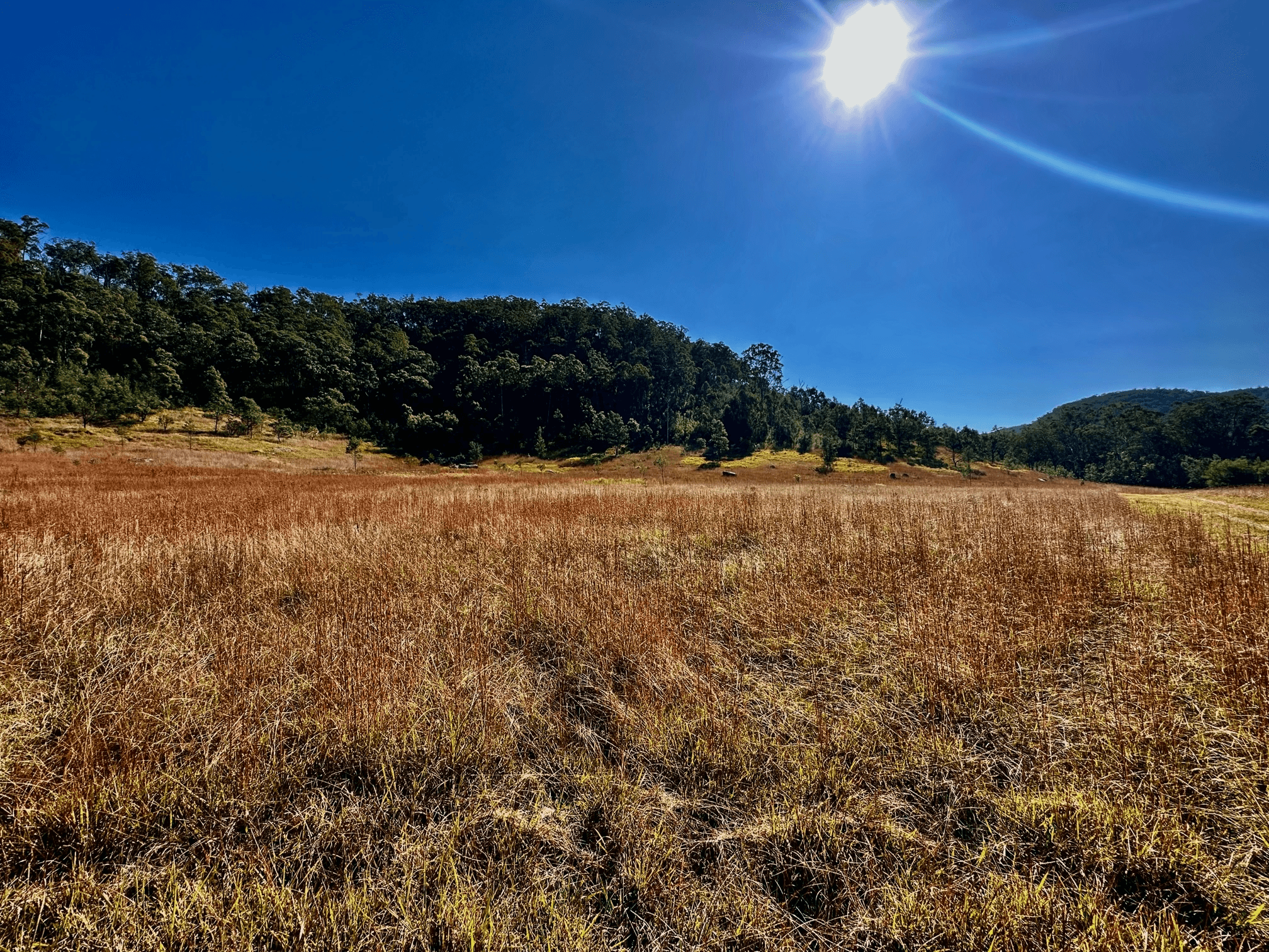 Lot 6 Paynes Crossing Rd, Paynes Crossing, NSW 2325