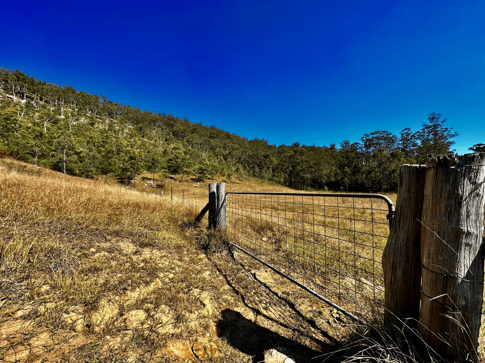Lot 6 Paynes Crossing Rd, Paynes Crossing, NSW 2325