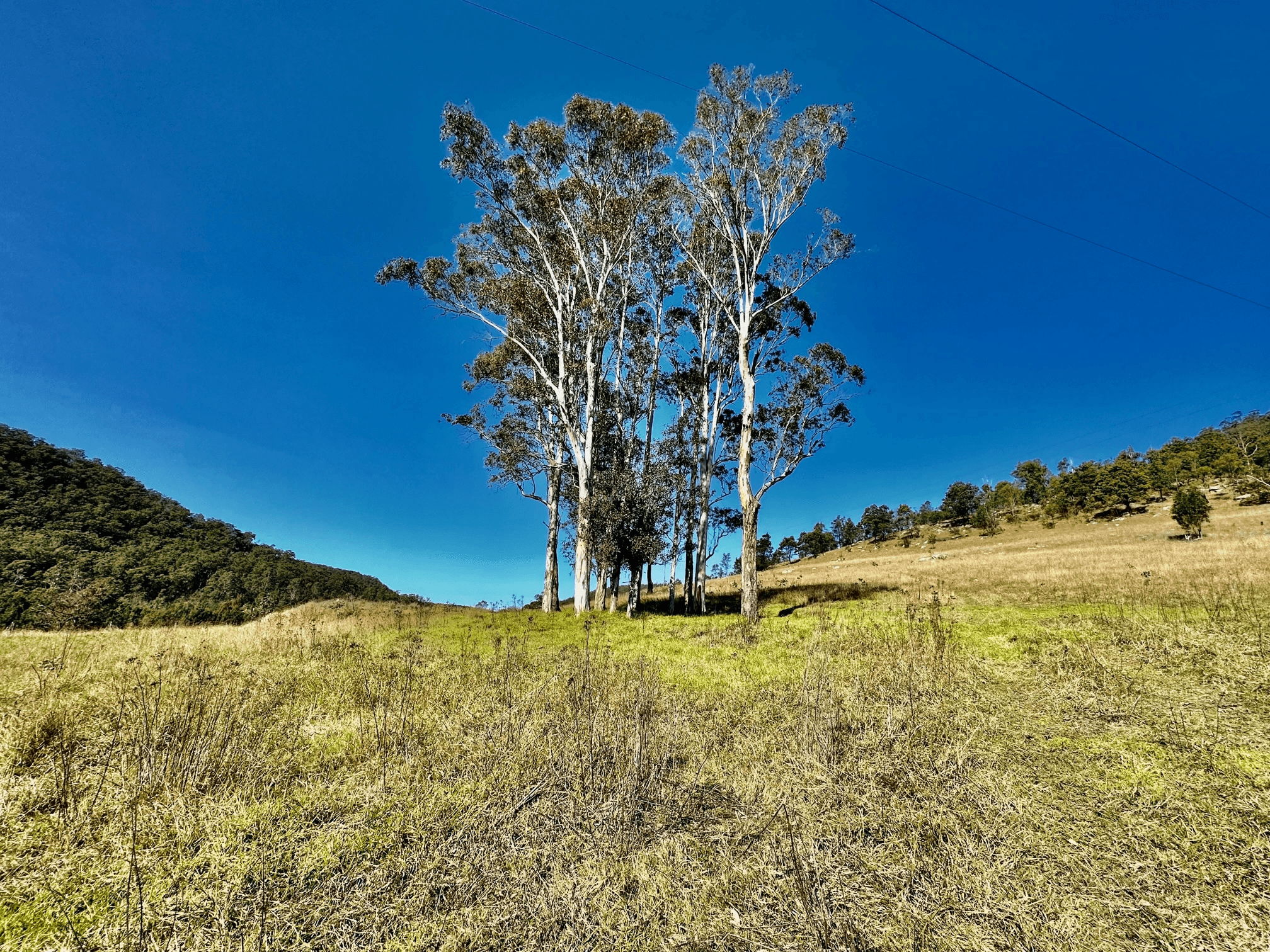 Lot 6 Paynes Crossing Rd, Paynes Crossing, NSW 2325
