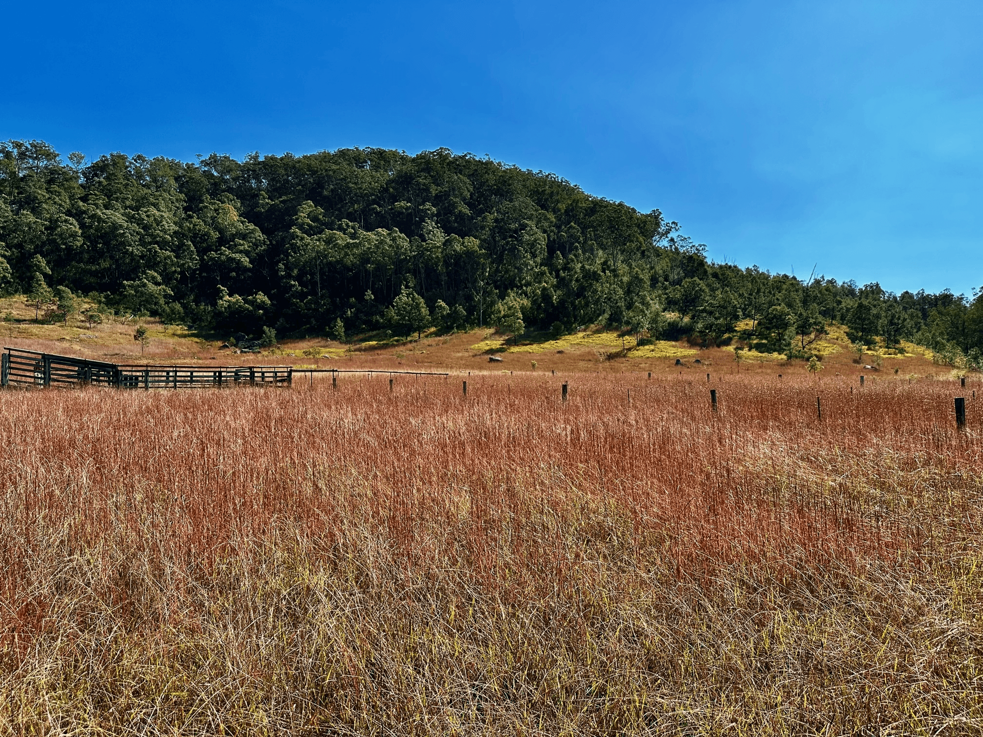 Lot 6 Paynes Crossing Rd, Paynes Crossing, NSW 2325