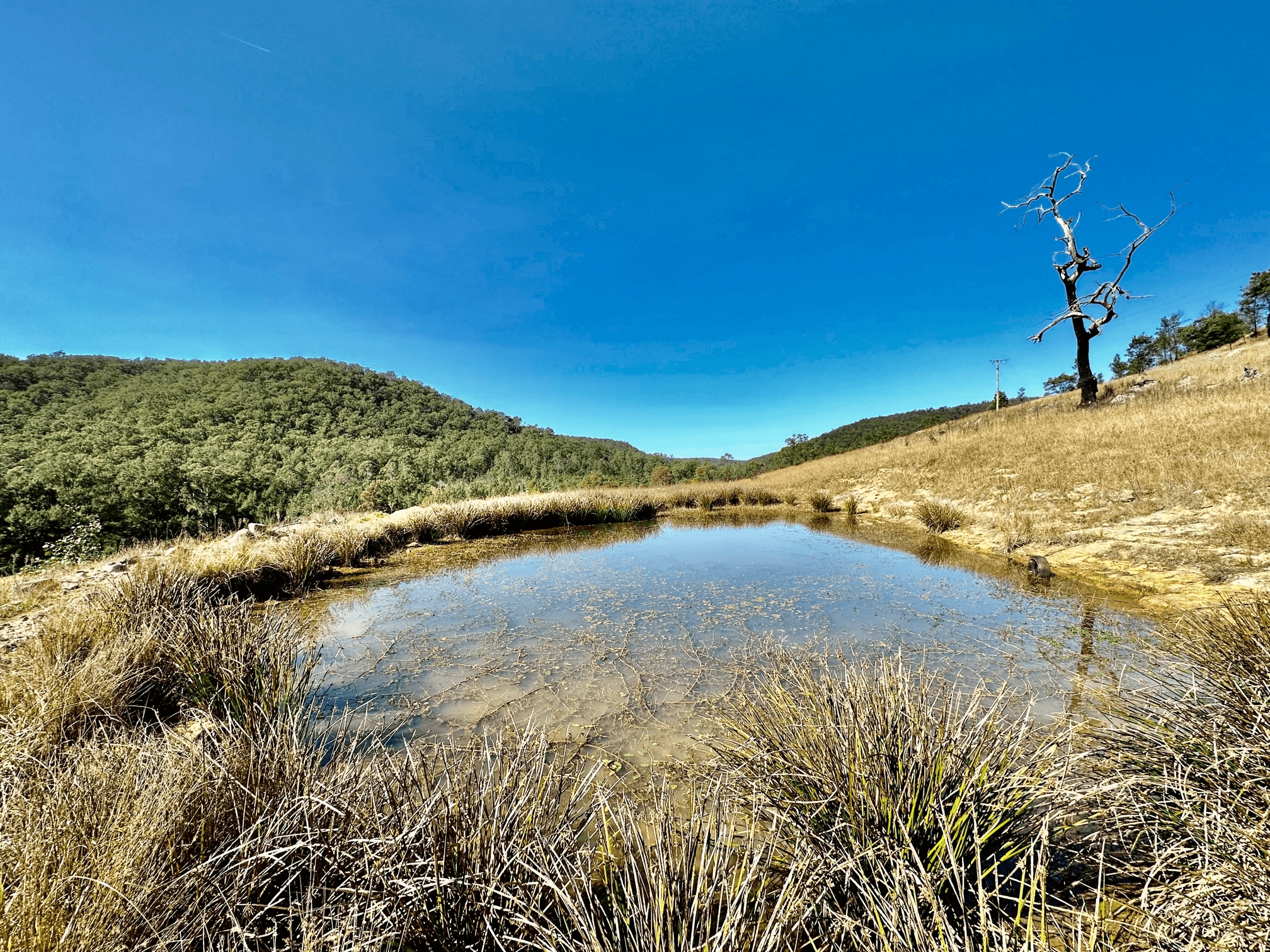 Lot 6 Paynes Crossing Rd, Paynes Crossing, NSW 2325