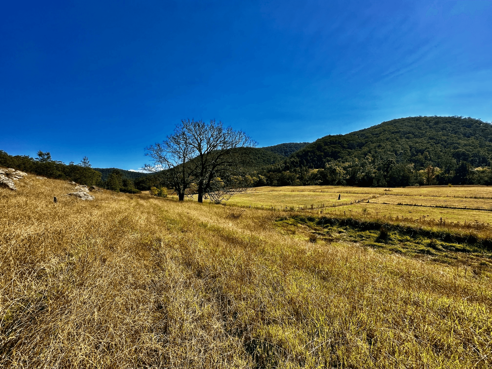 Lot 6 Paynes Crossing Rd, Paynes Crossing, NSW 2325