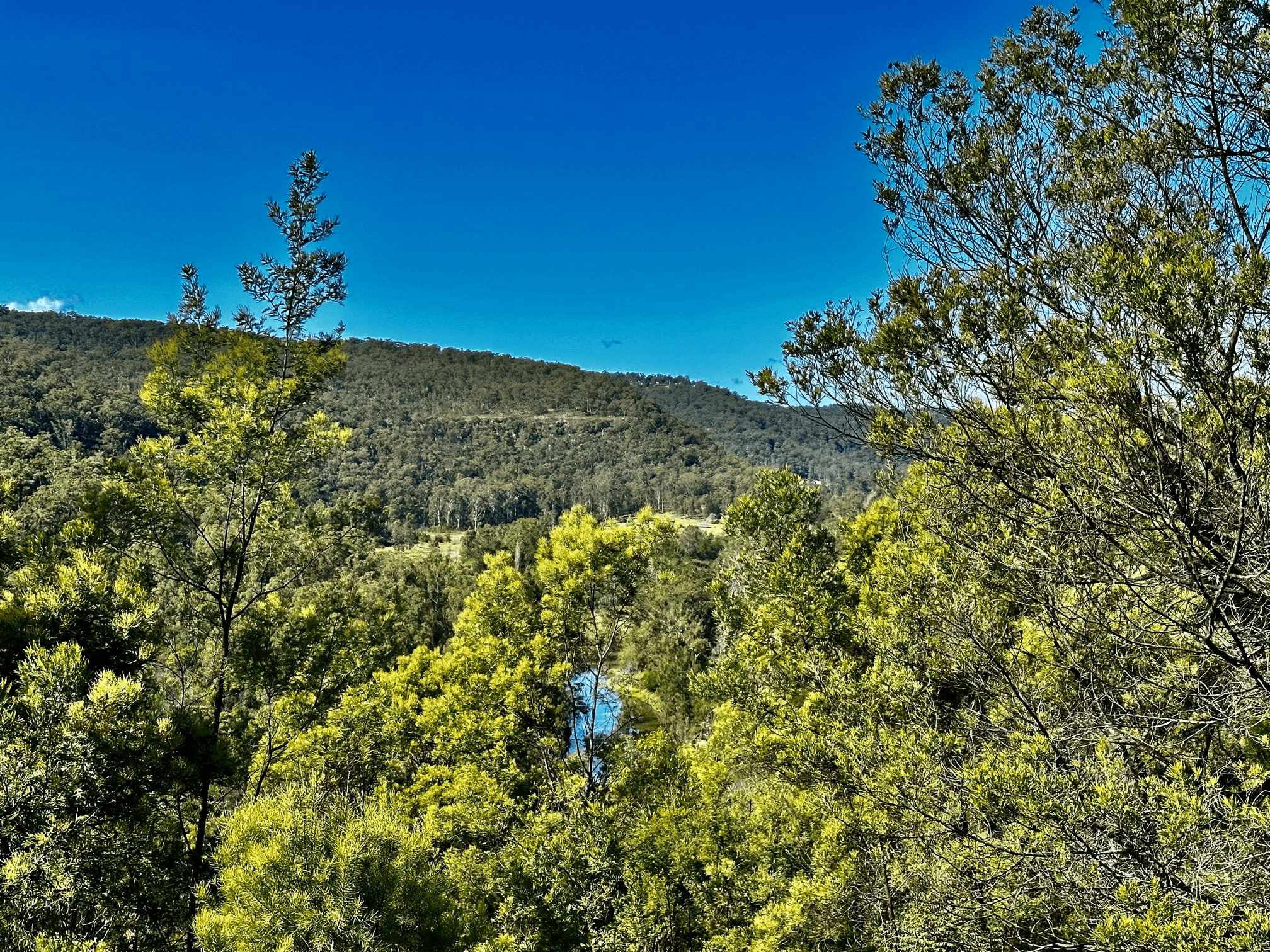 Lot 6 Paynes Crossing Rd, Paynes Crossing, NSW 2325