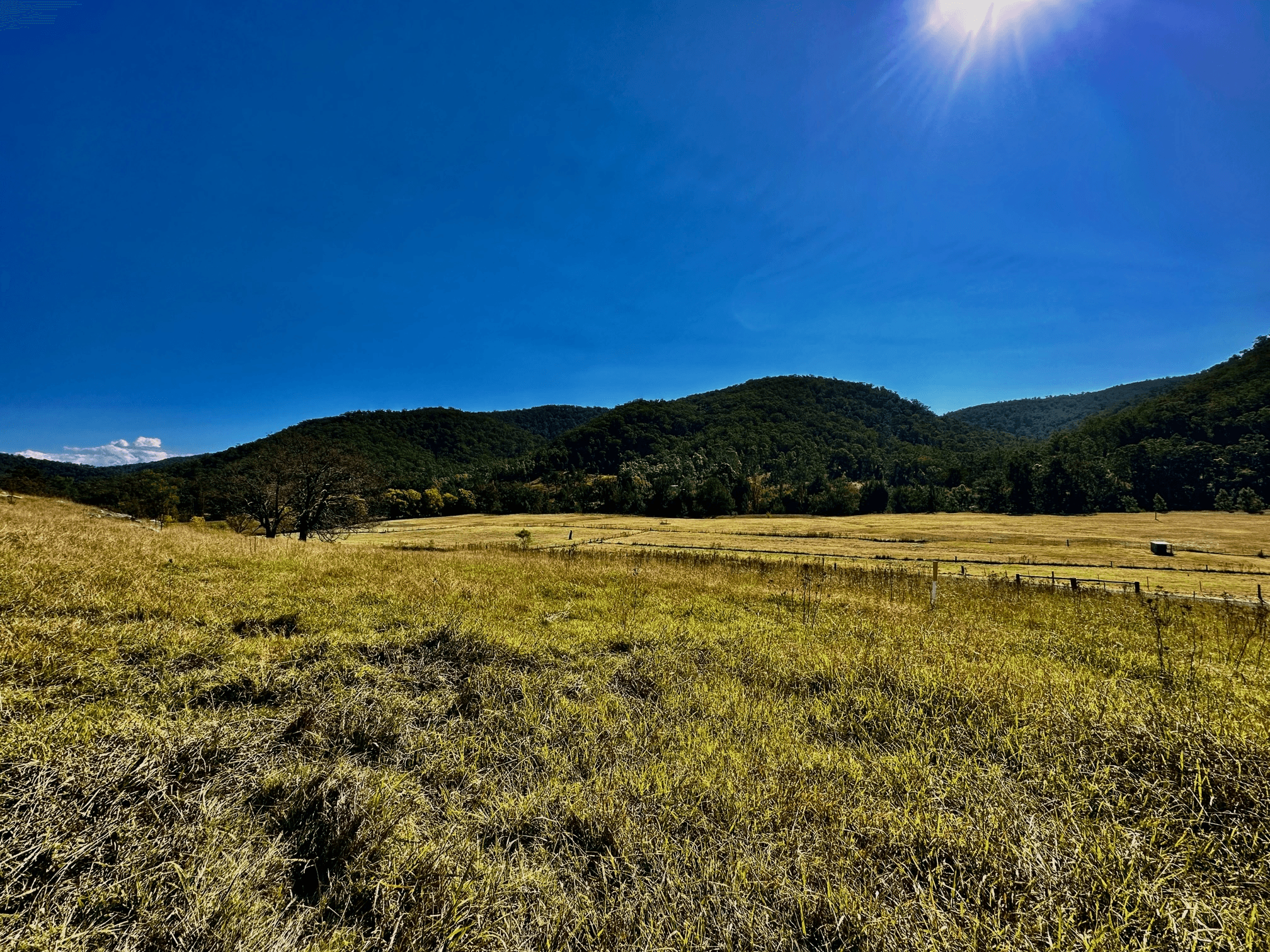 Lot 6 Paynes Crossing Rd, Paynes Crossing, NSW 2325