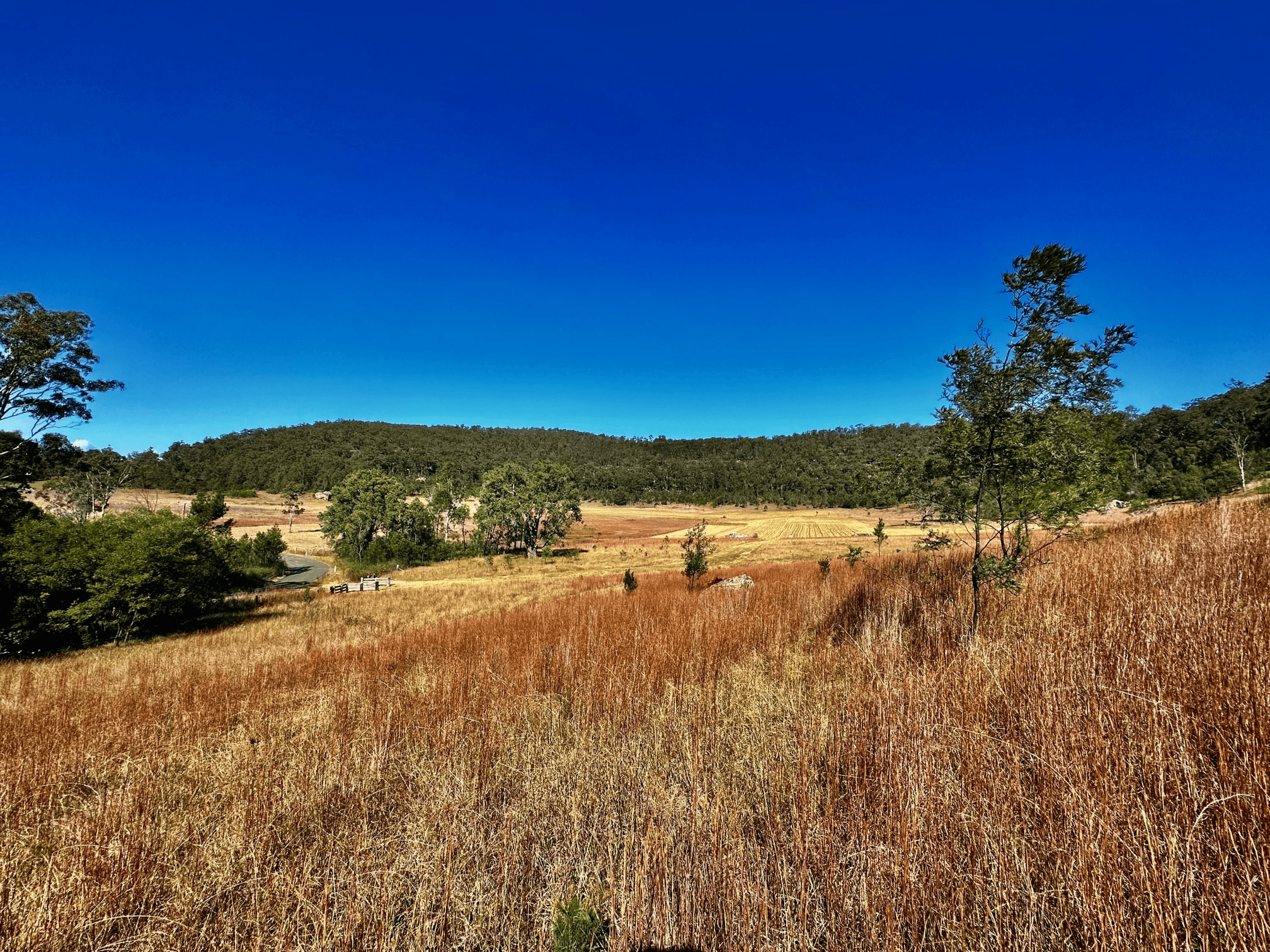 Lot 6 Paynes Crossing Rd, Paynes Crossing, NSW 2325