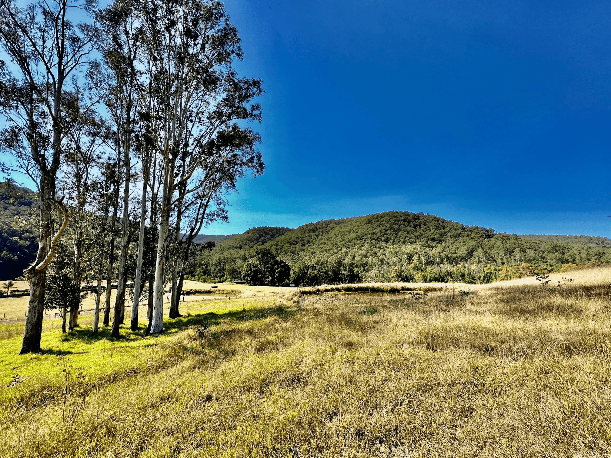 Lot 6 Paynes Crossing Rd, Paynes Crossing, NSW 2325