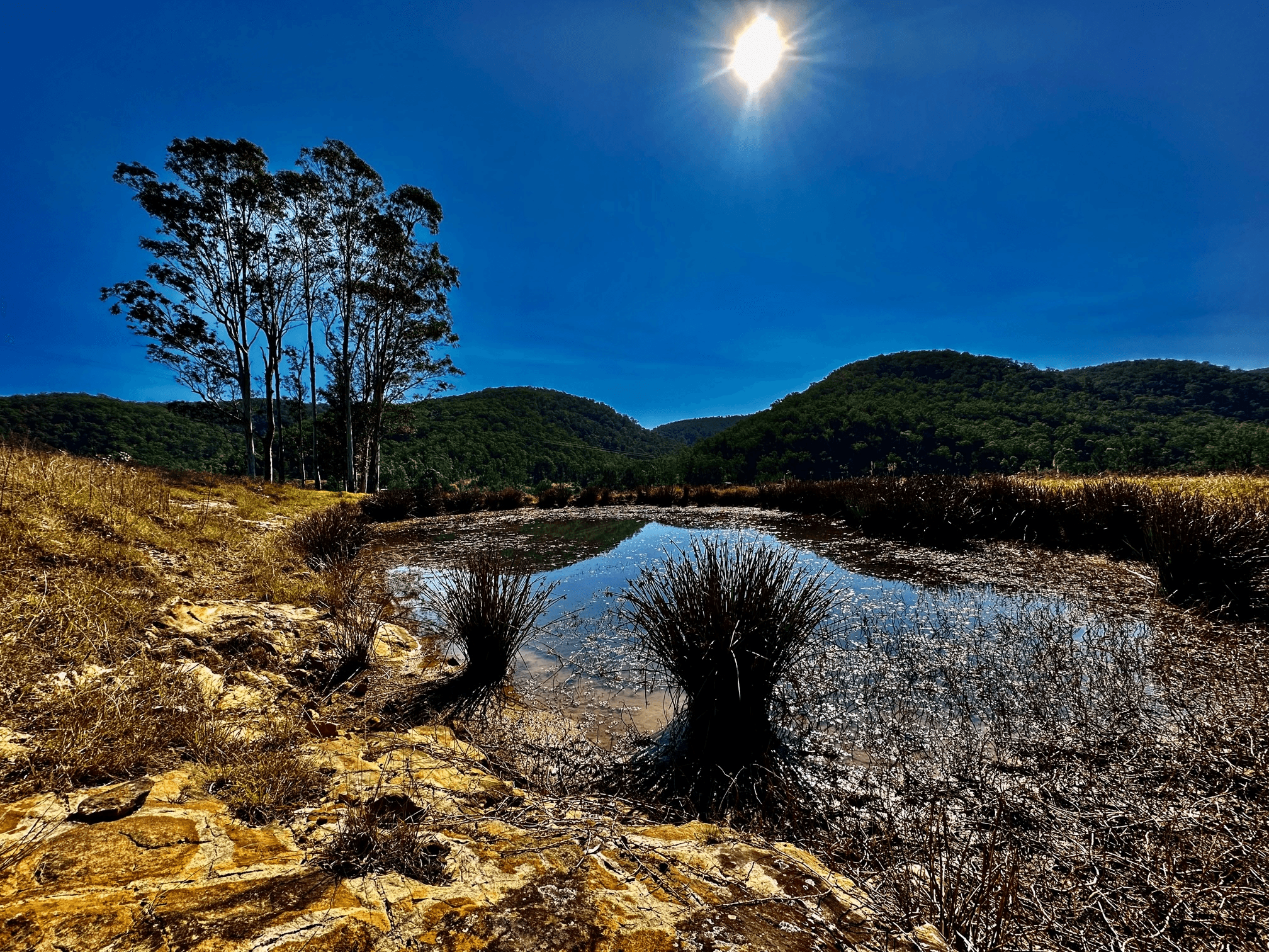 Lot 6 Paynes Crossing Rd, Paynes Crossing, NSW 2325