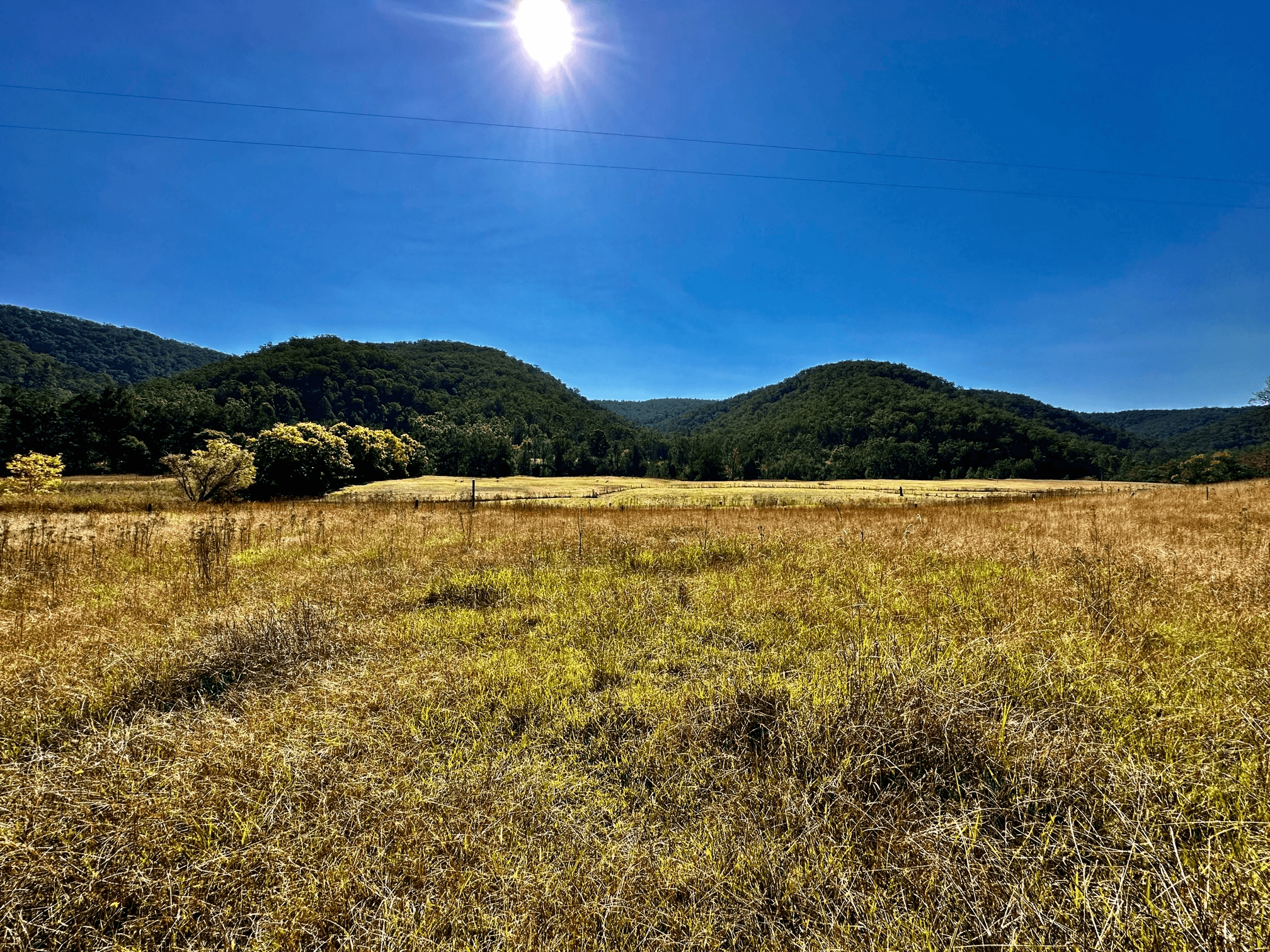 Lot 6 Paynes Crossing Rd, Paynes Crossing, NSW 2325
