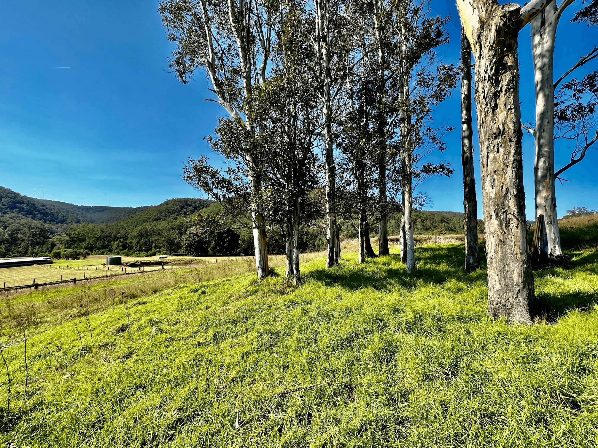 Lot 6 Paynes Crossing Rd, Paynes Crossing, NSW 2325
