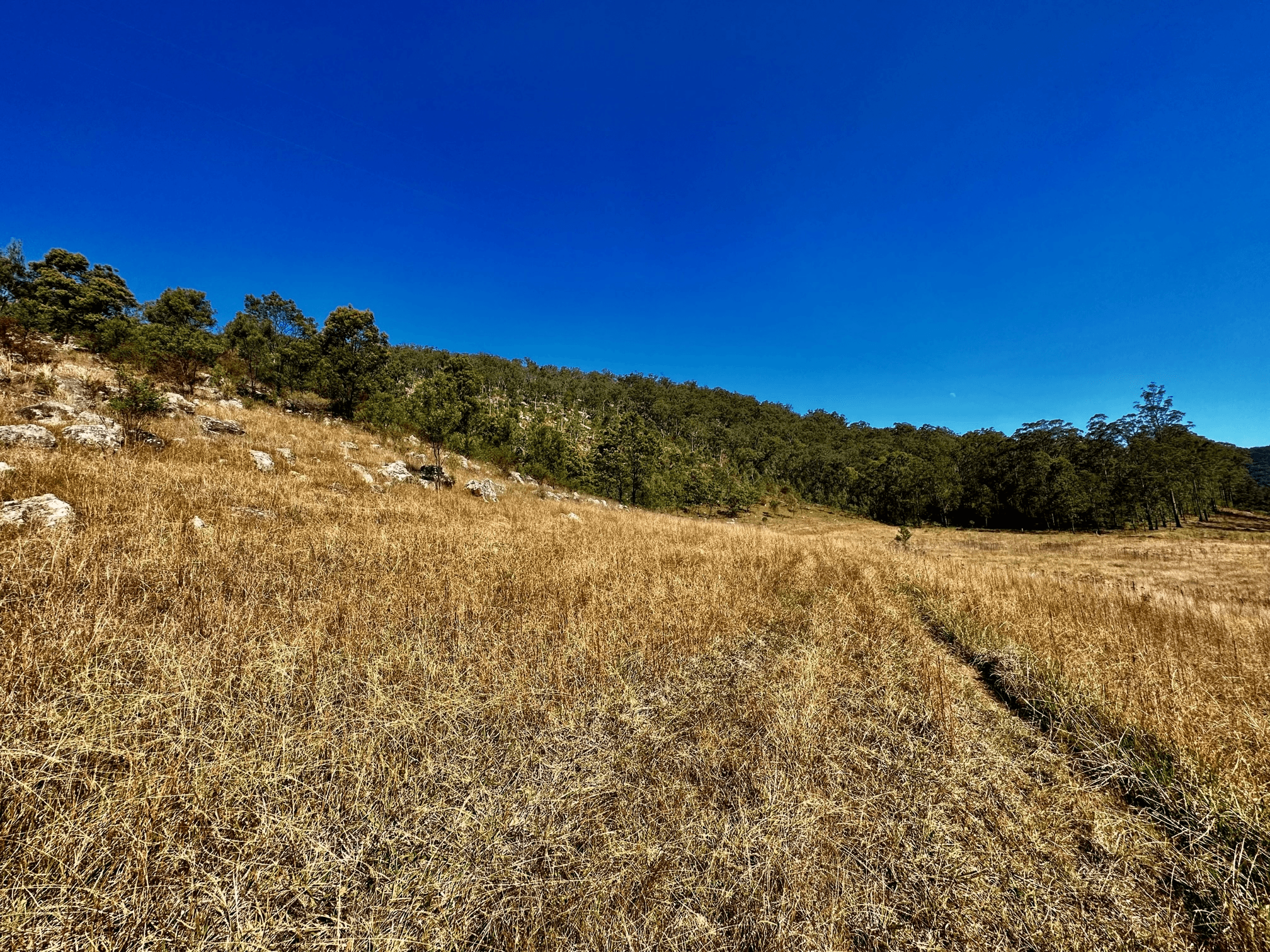 Lot 6 Paynes Crossing Rd, Paynes Crossing, NSW 2325