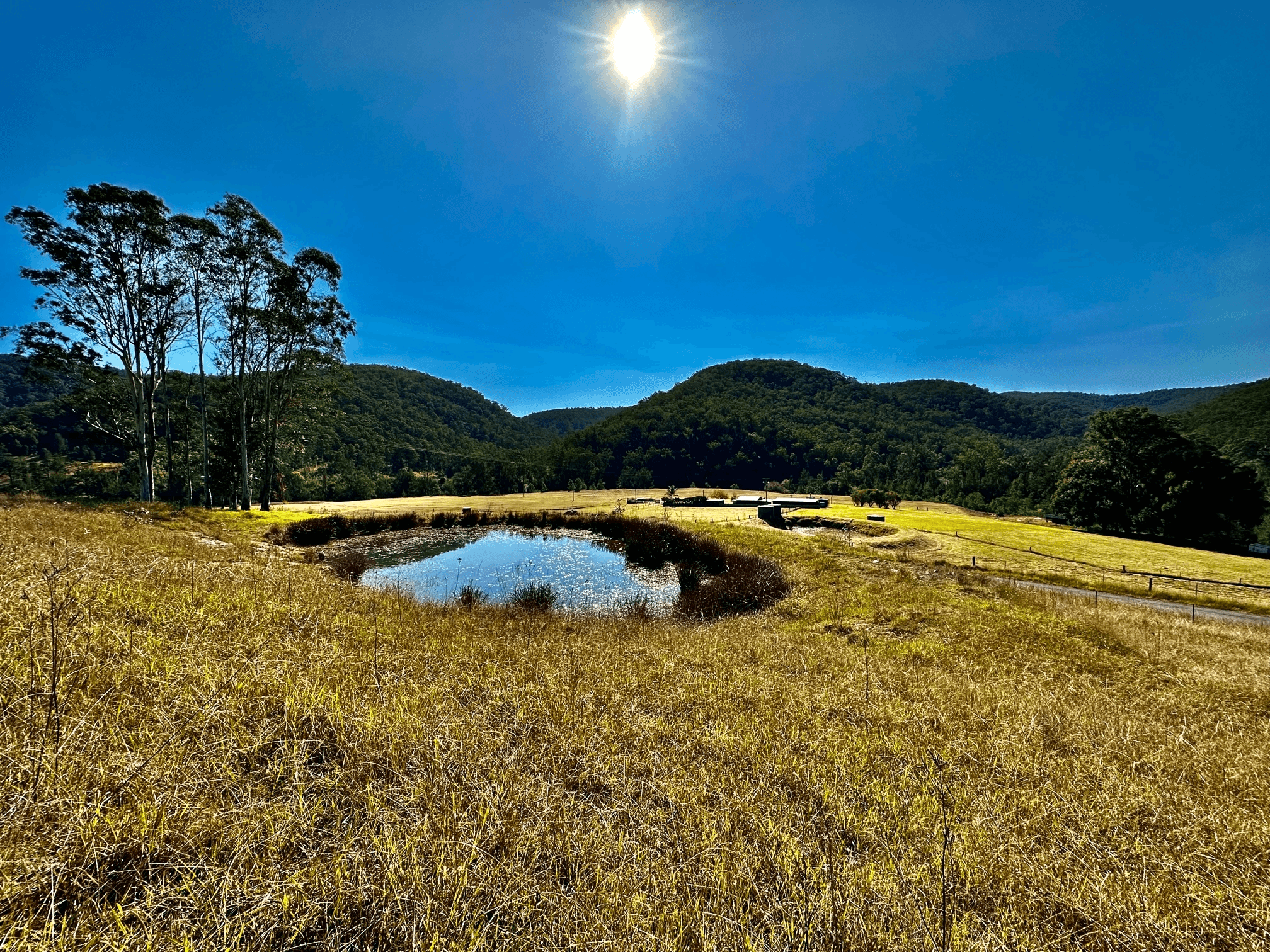 Lot 6 Paynes Crossing Rd, Paynes Crossing, NSW 2325