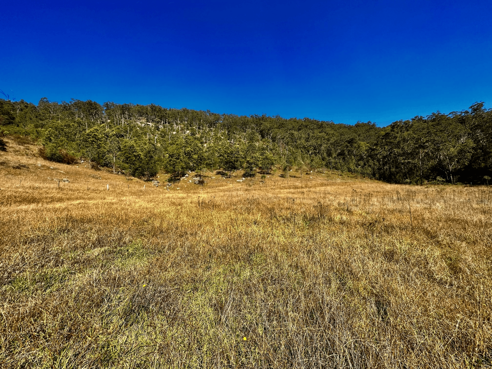 Lot 6 Paynes Crossing Rd, Paynes Crossing, NSW 2325