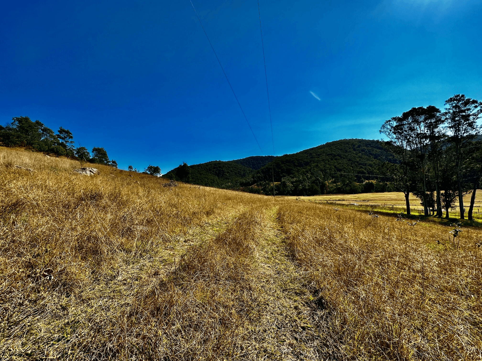 Lot 6 Paynes Crossing Rd, Paynes Crossing, NSW 2325
