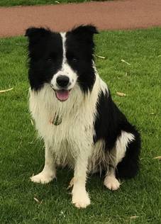 Lot115 to 116 Great Eastern Hwy, BOORABBIN, WA 6429