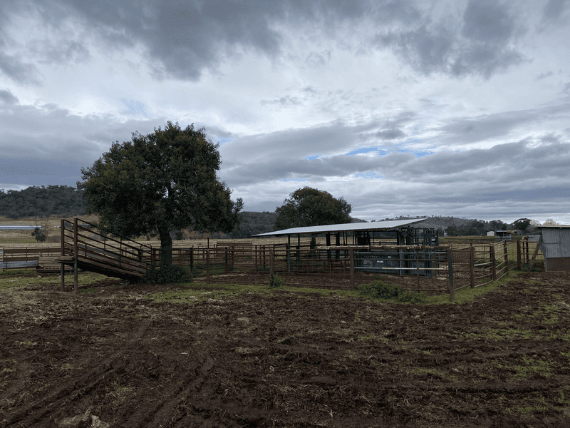 512 Ogunbil Road, DUNGOWAN, NSW 2340