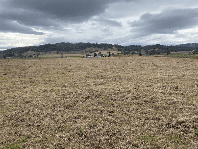 512 Ogunbil Road, DUNGOWAN, NSW 2340