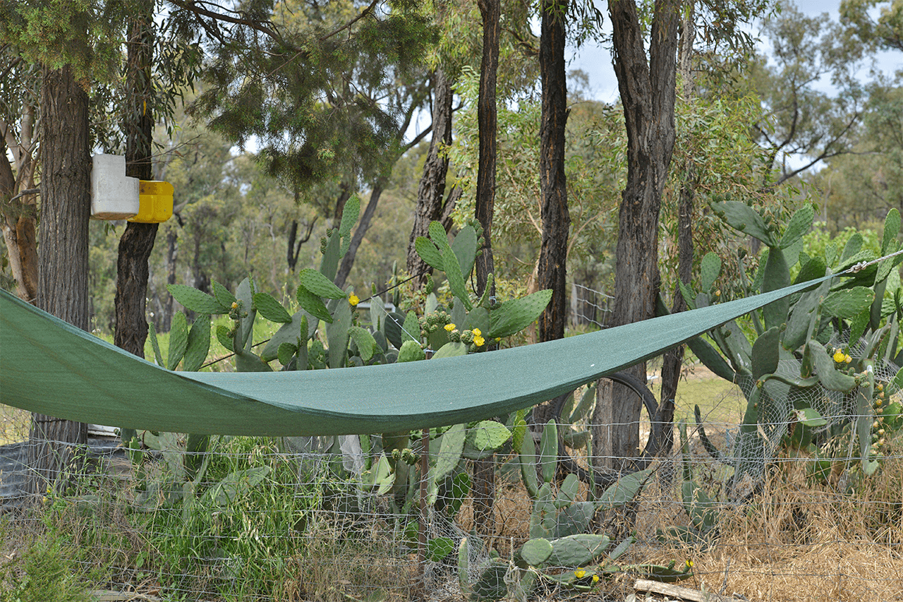 1005 QUAKER TOMMY Road, COONABARABRAN, NSW 2357