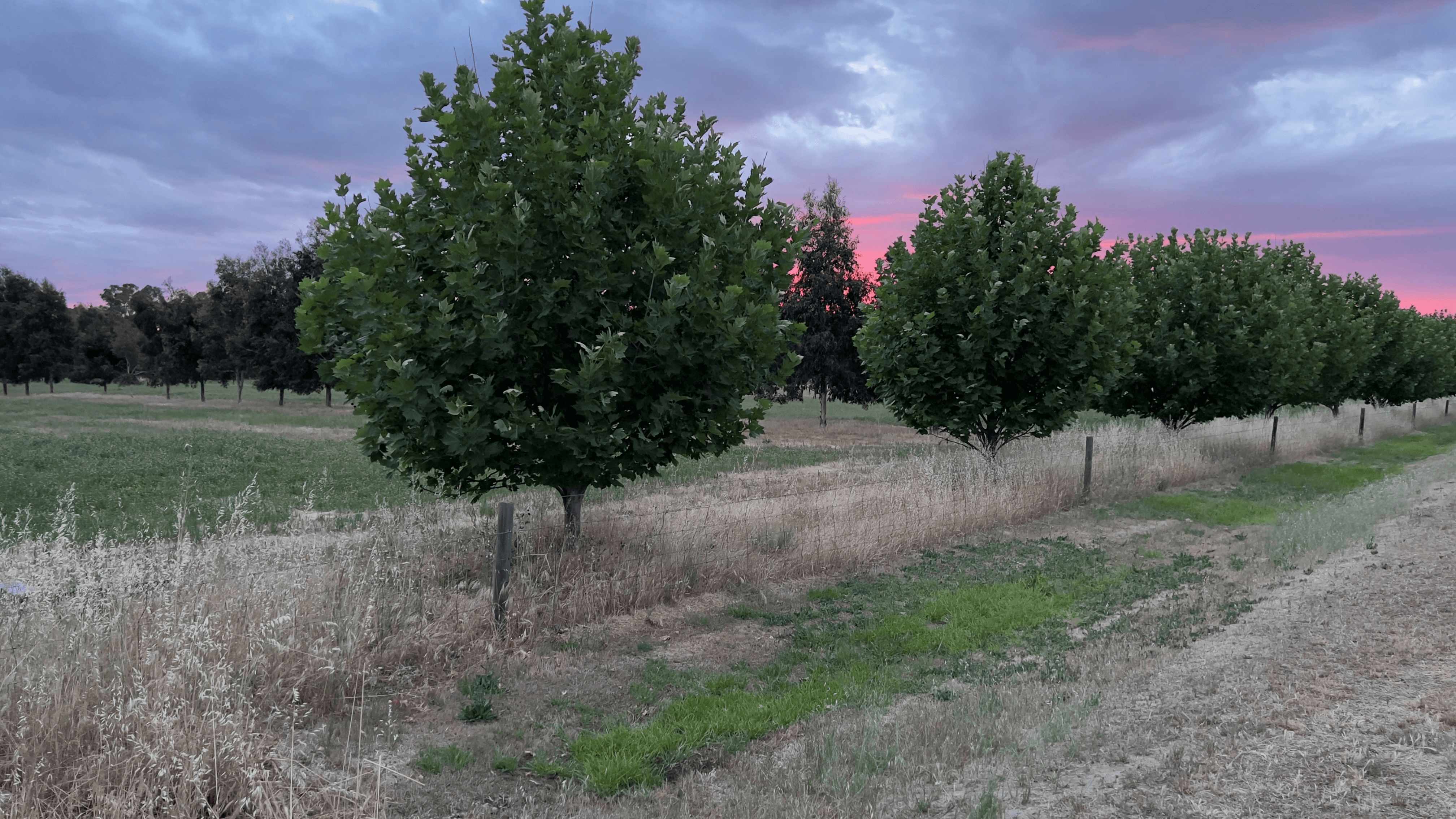 216 NORTH BARHAM ROAD, BARHAM, NSW 2732