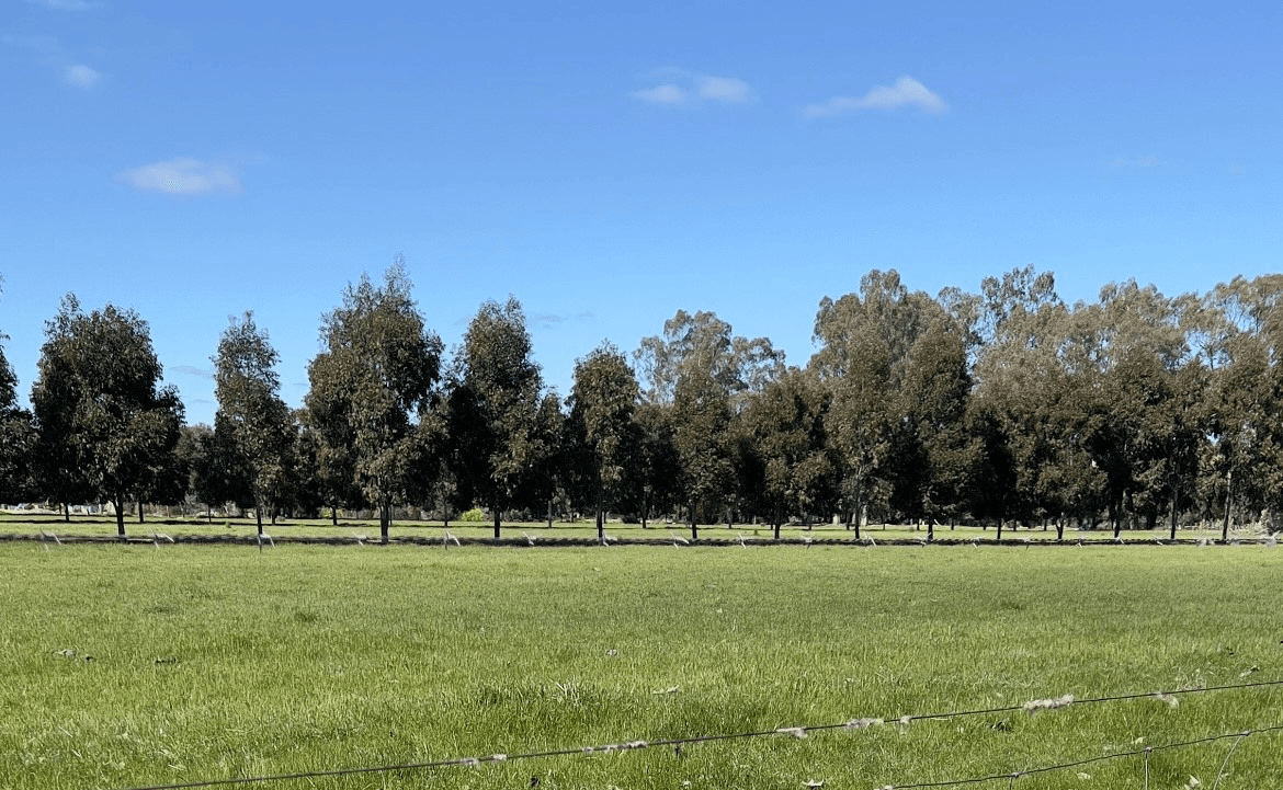 216 NORTH BARHAM ROAD, BARHAM, NSW 2732
