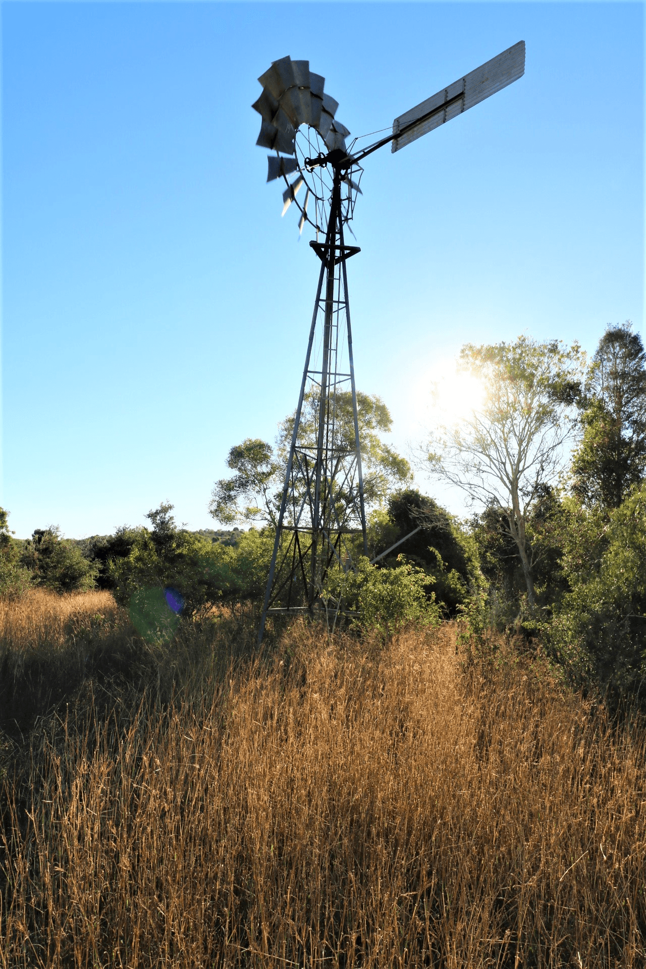 662 Emu Creek Road, Degilbo, QLD 4621