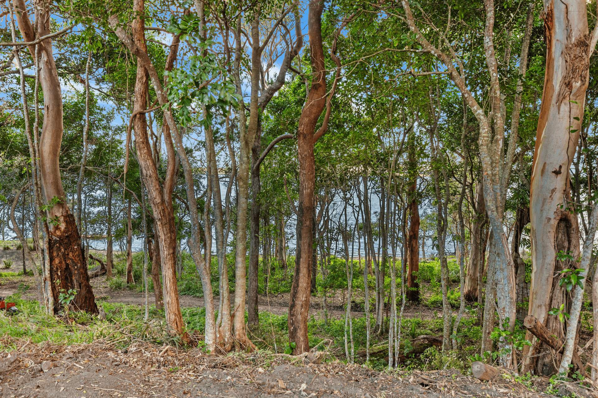 470 Lake Cooroibah Road, Cooroibah, QLD 4565
