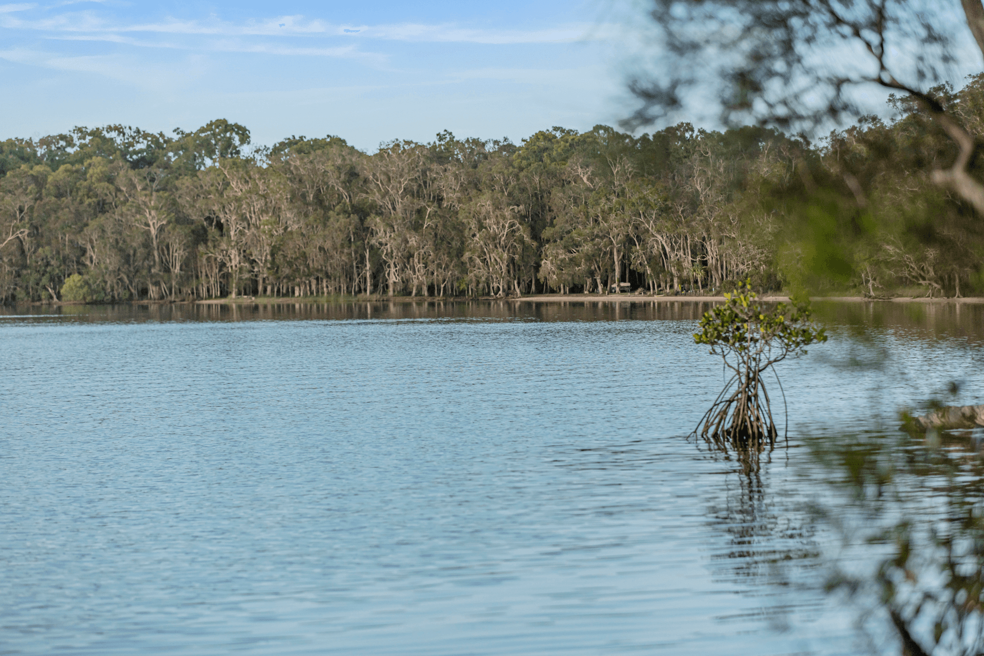 470 Lake Cooroibah Road, Cooroibah, QLD 4565