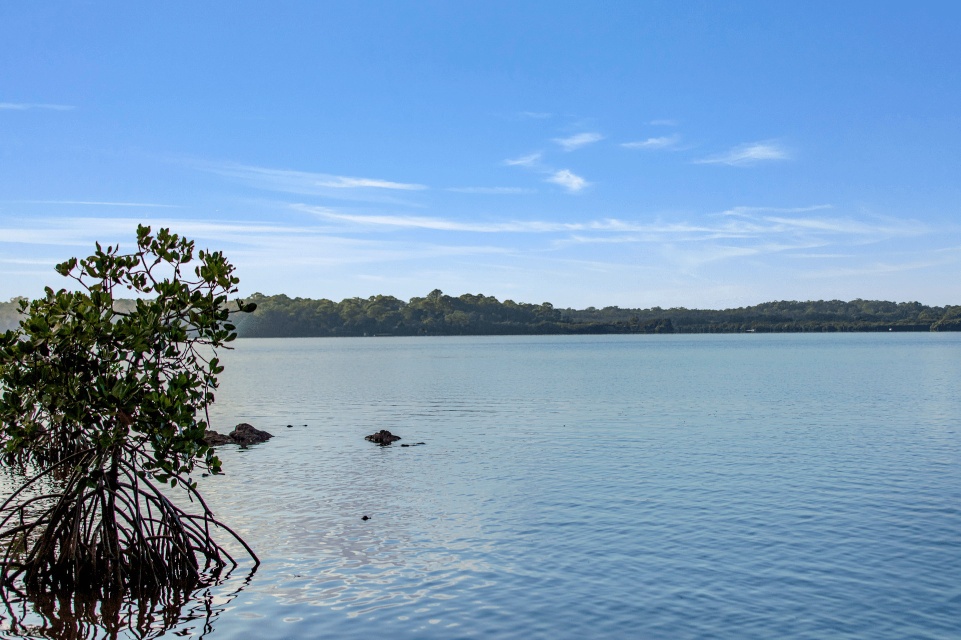 470 Lake Cooroibah Road, Cooroibah, QLD 4565