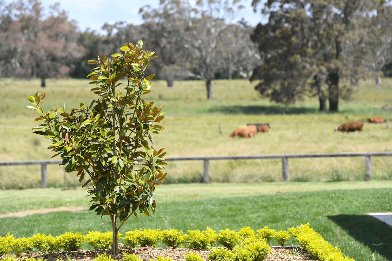 63 Greasons Road, Bundanoon, NSW 2578