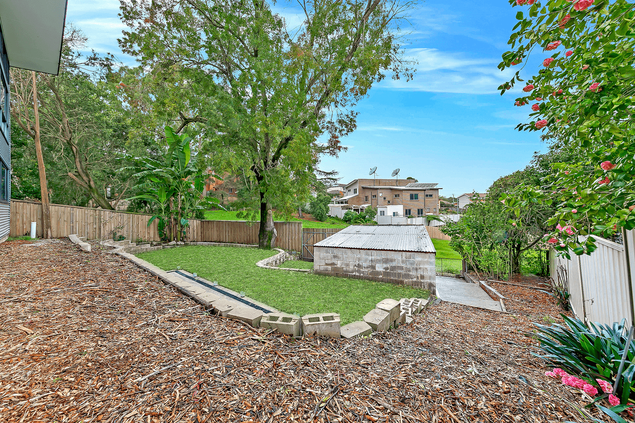 20 Tintern Ave, TELOPEA, NSW 2117